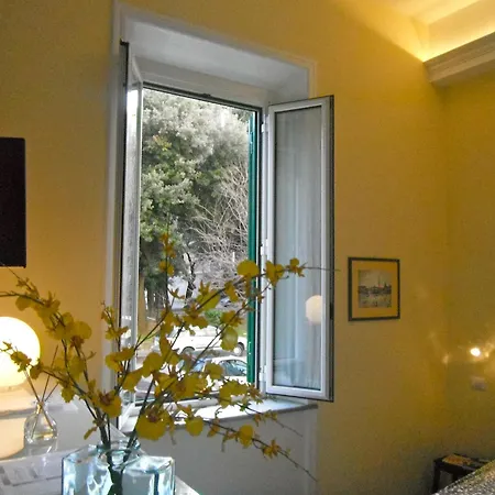 Apartmán Domi Aloisii *